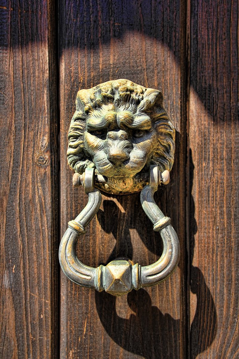 Lion head gold door knocker