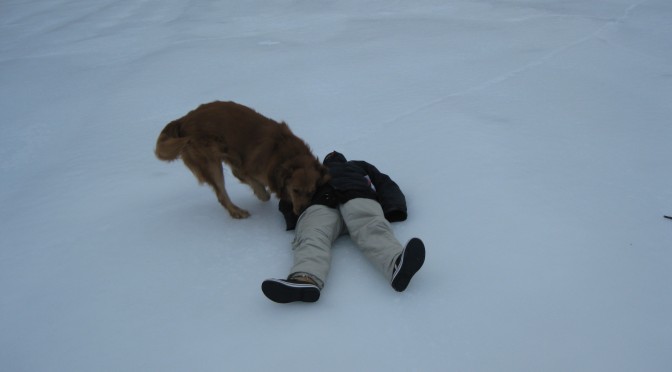 Ice is not safe. Here's woman down as rescue dog searches pockets for provisions.